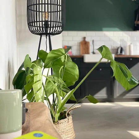 Nordic Huus Butjadingen